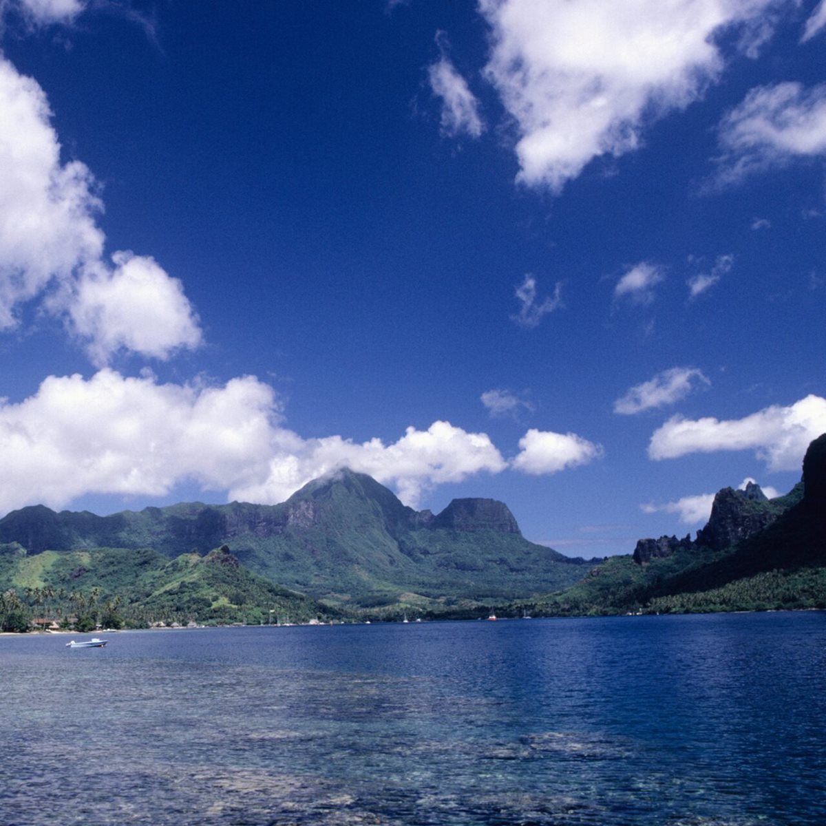 Zatoka Cooka, wyspa Moorea, Polinezja Francuska