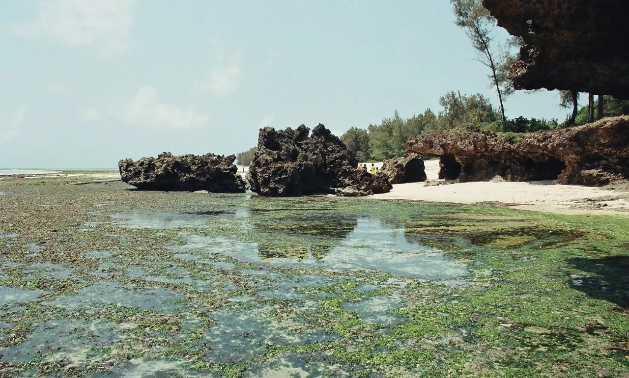 Morski Park Narodowy Malindi, Kenia