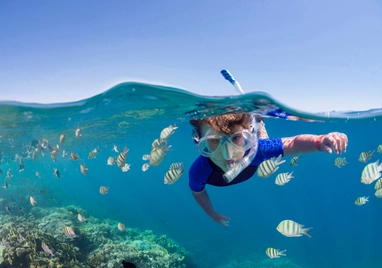 Snorkeling w Egipcie