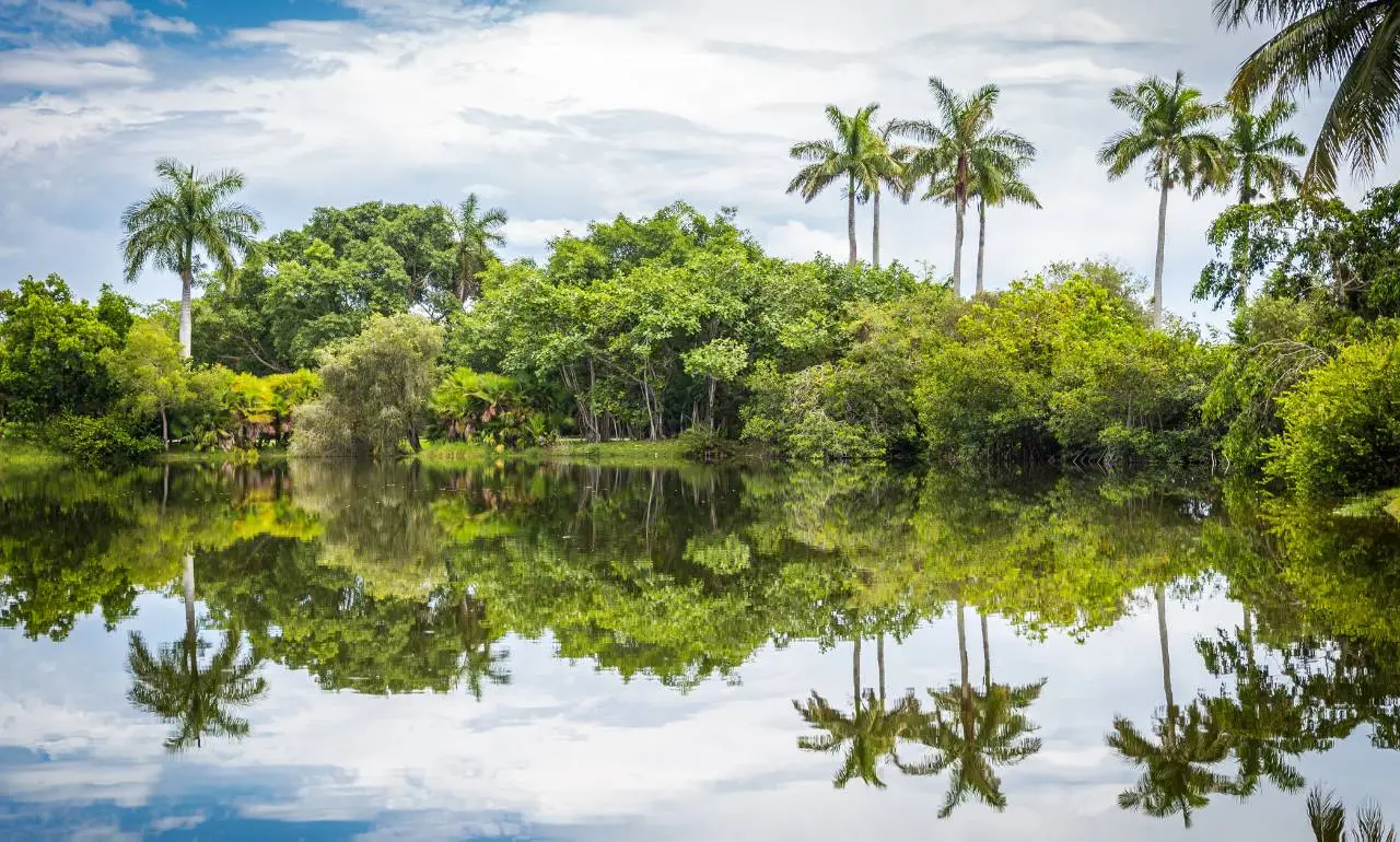 Fairchild Tropical Botanic Garden, Miami