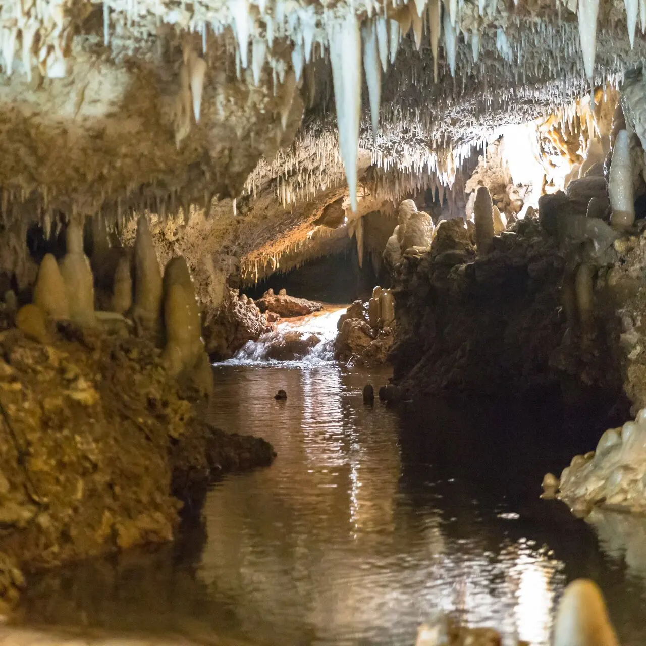 Harrison's Cave, Barbados