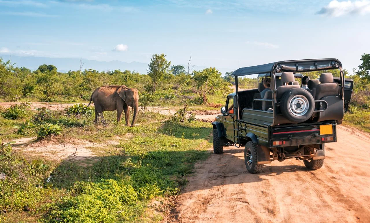 Słoń na safari w Kenii