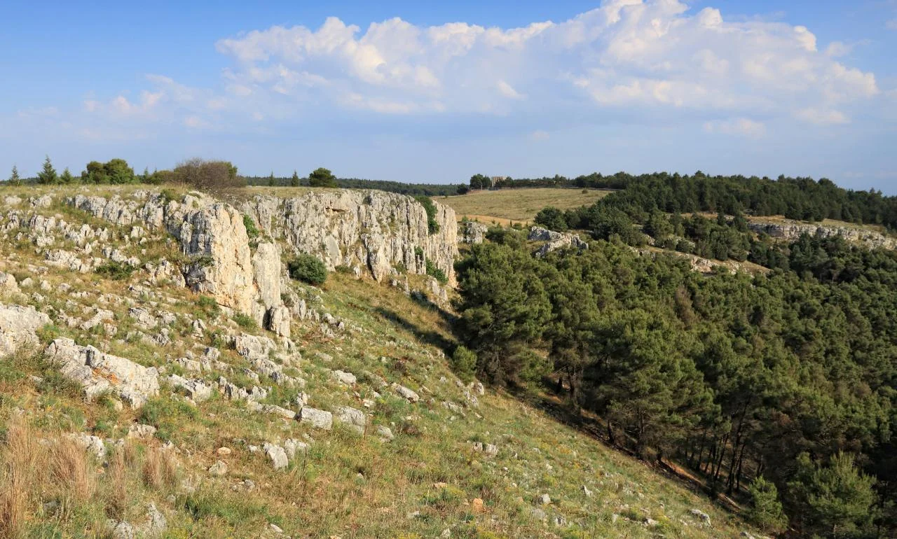 Park Narodowy Alta Murgia