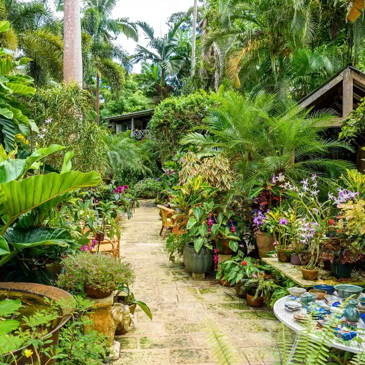 Hunte's Gardens, Barbados