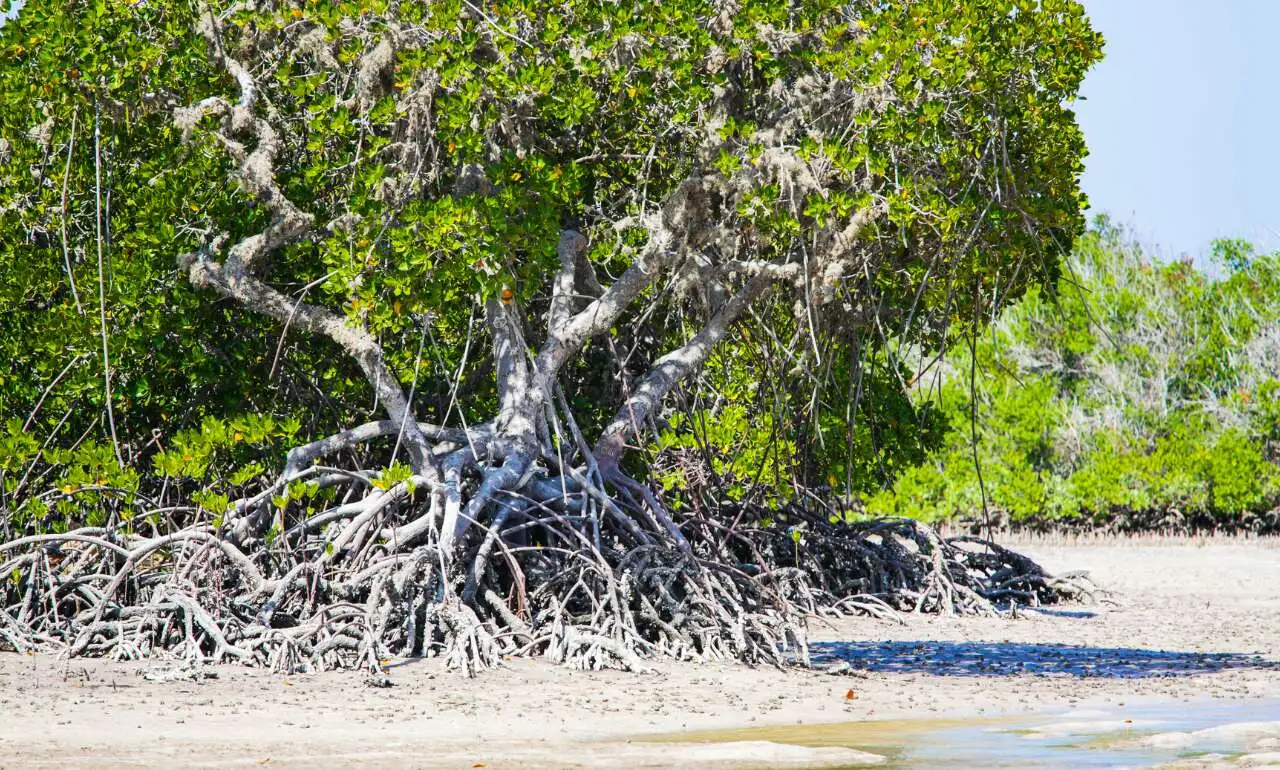 Watamu, Kenia